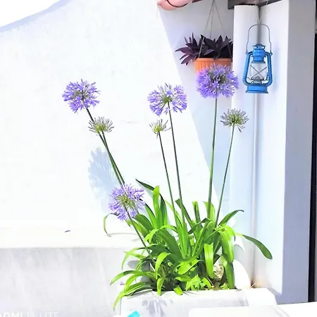 Holiday home το σπίτι του παππού
