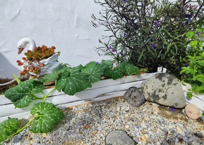 Το Σπίτι Του Παππού Case de vacanță